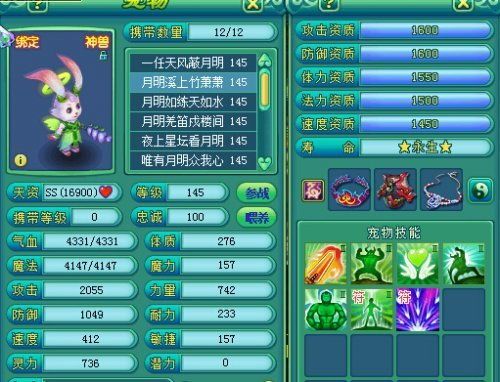 “兔友必备！宠物兔养什么，解锁新玩法”