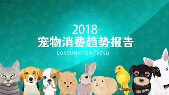 “养宠小白,探索宠物世界之旅!”