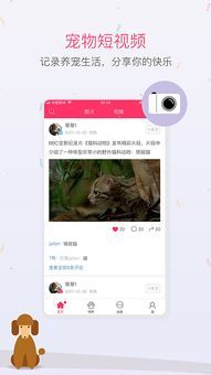 点券宠物辅助，专属宠物必备神器！