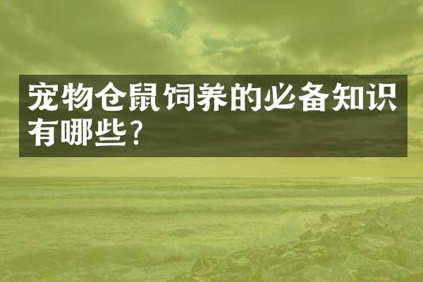 宠物仓鼠饲养的必备知识有哪些？