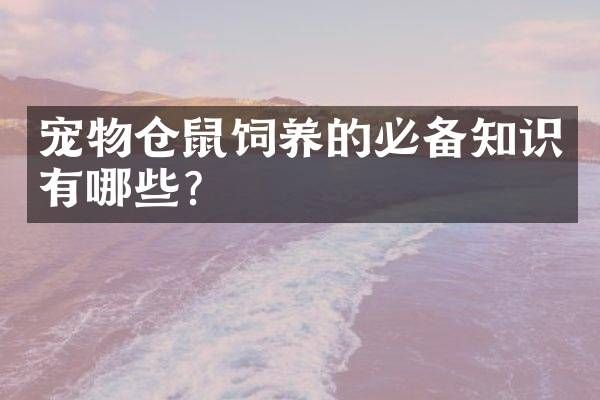 宠物仓鼠饲养的必备知识有哪些？