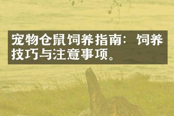 宠物仓鼠饲养指南：饲养技巧与注意事项。