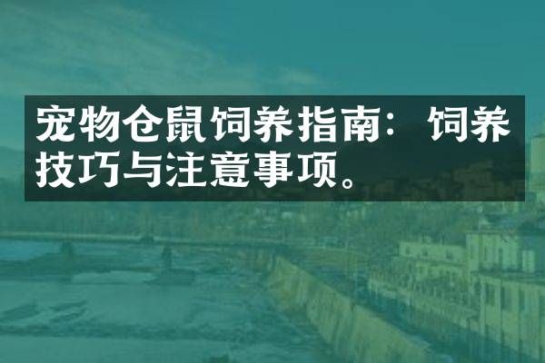 宠物仓鼠饲养指南：饲养技巧与注意事项。