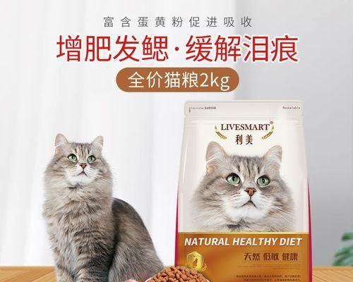猫咪几个月可以开始吃成年猫粮？如何正确转换猫粮？