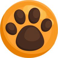 小猫突击队