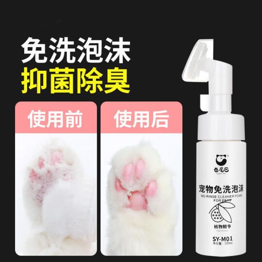 冬季猫咪爪子科学护理指南:从环境清洁到专用护足霜