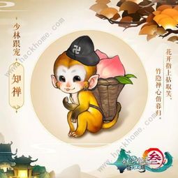 维嘉宠粉推荐，宠物生活指南！