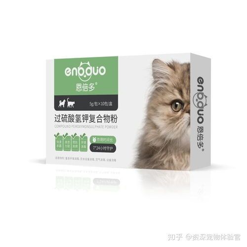维嘉宠粉推荐，宠物生活指南！