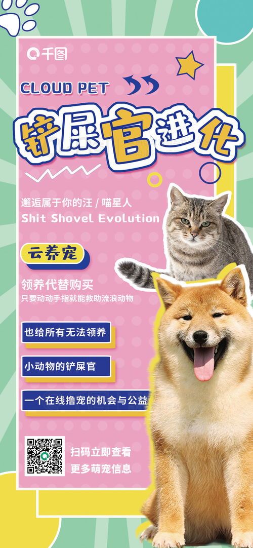 宠物生活指南，宠友聚集地