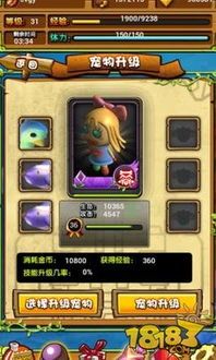 “解锁天书宠物技能,萌宠进化指南!”
