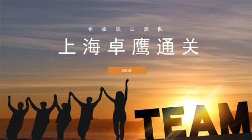 为你梳理好了进口宠物零食通关指南-申报注意事项-熟悉进出口流程手续