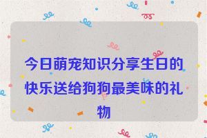 今日萌宠知识分享生日的快乐送给狗狗最美味的礼物