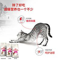 法国皇家挑嘴成猫全价粮肠道舒适布偶蓝短 EP42/2KG*2包