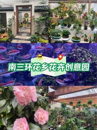 新春游览——北京花乡花卉创意园