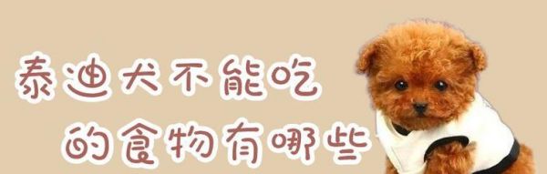 幼犬误食鱼刺应对方法（宠物饮食安全隐患与预防）
