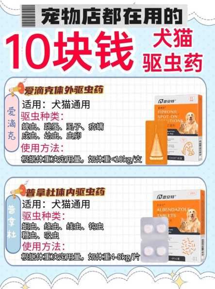 爱猫物语宠物店，猫咪用品选购攻略有哪些？价格如何？-第1张图片-5440游戏网