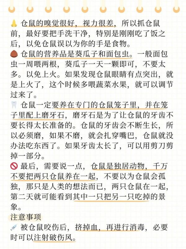 仓鼠的饲养教程手册,仓鼠的饲养教程手册图片