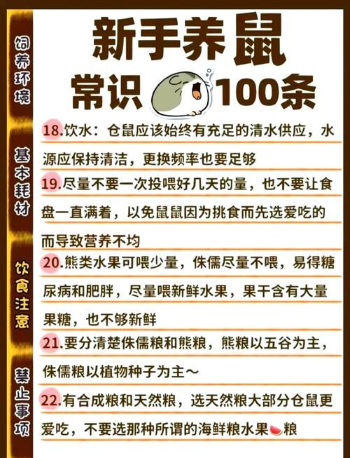 仓鼠饲养教程-仓鼠饲养教程新人