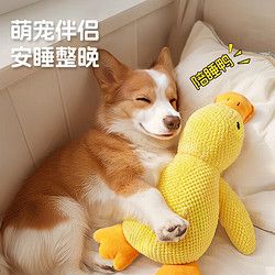 茨格曼 宠物狗玩具狗狗自己玩解闷自嗨耐咬磨牙发声小狗幼犬遛狗逗狗神器