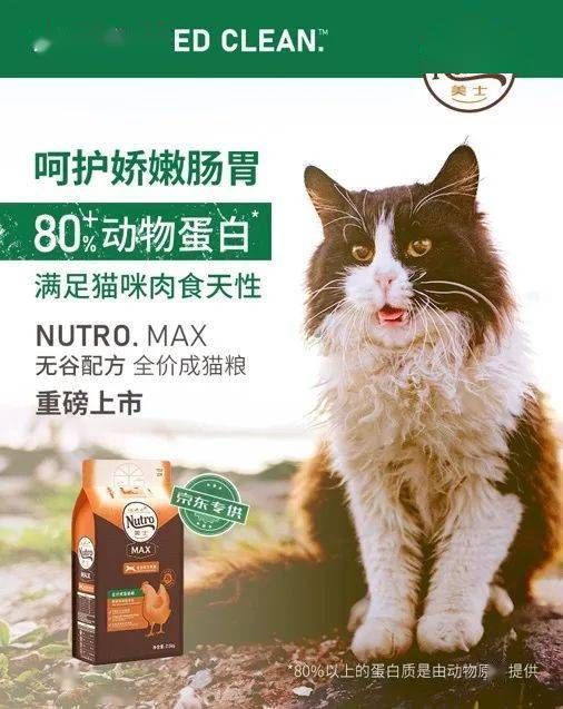 自制干猫粮,宠物营养专家!