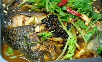 如何在家自制美味仓蝙鱼？轻松成为宠物美食达人！