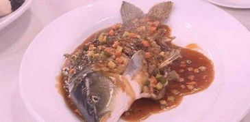 如何在家自制美味仓蝙鱼？轻松成为宠物美食达人！