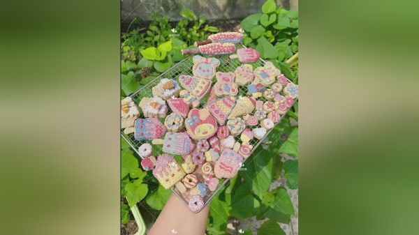 安妮拿出了私房秘籍！磨牙饼教程大公开！
