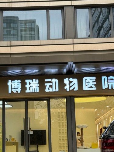 猫猫的守护神