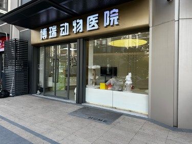 东站边的绝绝子宠物医院[鬼脸][鬼脸][鬼脸]
