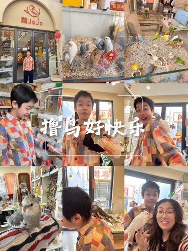 撸鸟好快乐