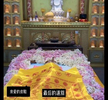园长·善宠阁 上海宠物善终