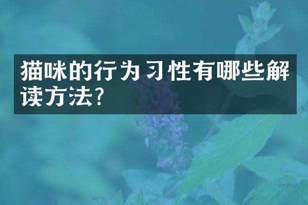 猫咪的行为习性有哪些解读方法？
