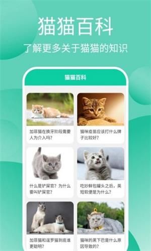 宠物沟通：如何与你的宠物建立更好的沟通？宠物行为语言解读指南