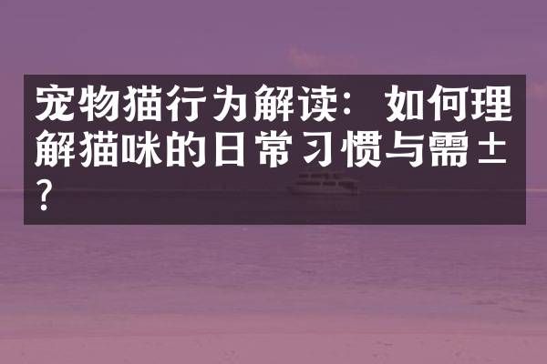 宠物猫行为解读：如何理解猫咪的日常习惯与需求？