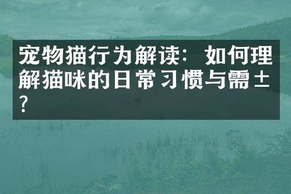 宠物猫行为解读：如何理解猫咪的日常习惯与需求？