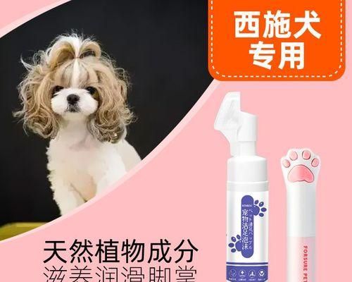 解读狗狗伸爪子的语言，了解它们内心的情感（解读狗狗伸爪子的语言）