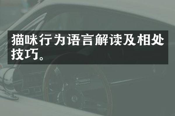 猫咪行为语言解读及相处技巧。