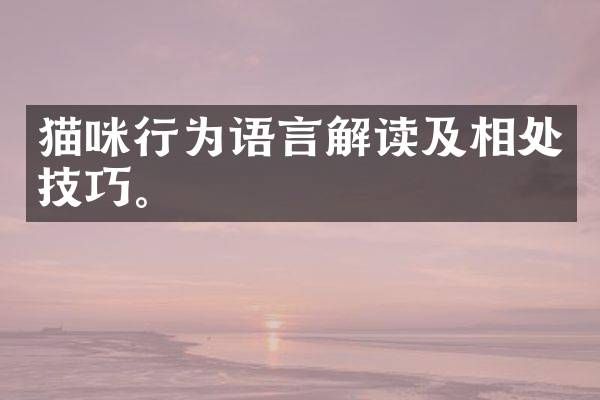 猫咪行为语言解读及相处技巧。