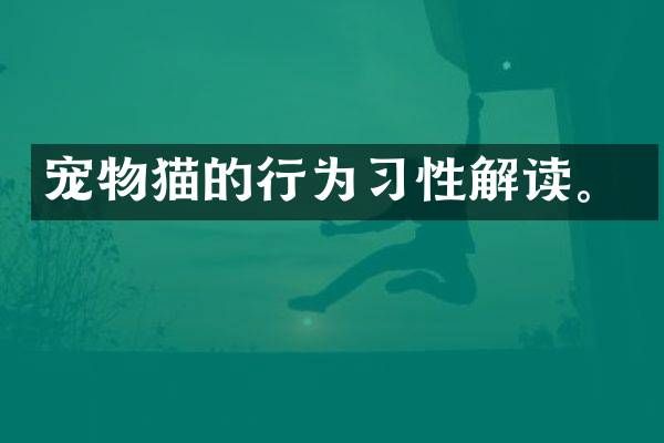宠物猫的行为习性解读。