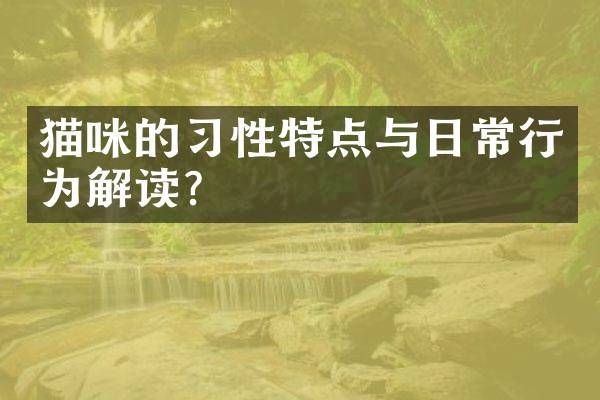 猫咪的习性特点与日常行为解读？