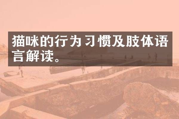 猫咪的行为习惯及肢体语言解读。