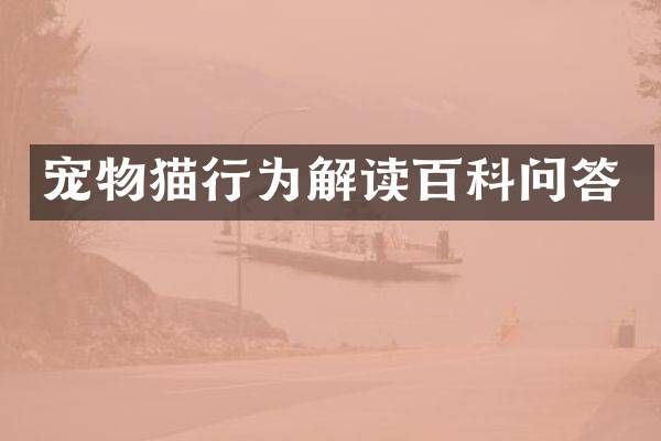 宠物猫行为解读百科问答