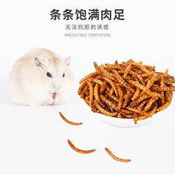 Jonsanty 宠尚天 仓鼠零食仓鼠粮组合大礼包套餐磨牙棒饼小冻干面包虫金丝熊用品 面包