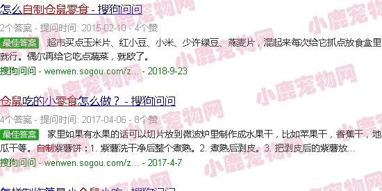 自制仓鼠零食大全