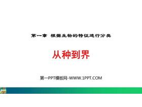 《从种到界》PPT免费课件下载