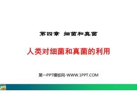 《人类对细菌和真菌的利用》PPT精品课件下载