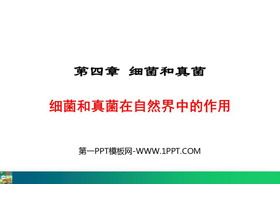 《细菌和真菌在自然界中的作用》PPT免费课件下载