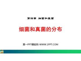 《细菌和真菌的分布》PPT教学课件下载