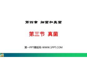 《真菌》PPT优质课件下载