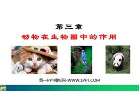 《动物在生物圈中的作用》PPT优质教学课件